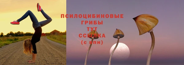 кокаин премиум Горнозаводск